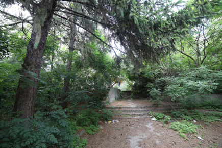 post-image